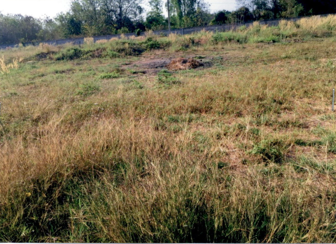Residential land/lot Kalasin Mueang Kalasin Kalasin 167500