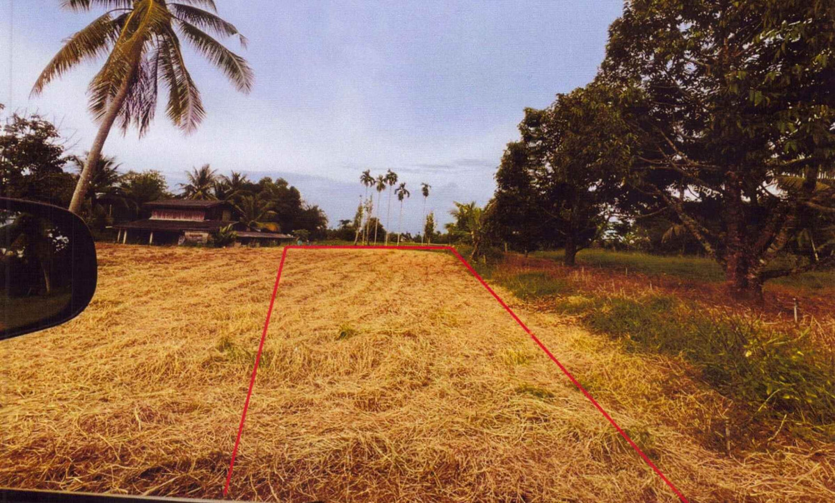 Residential land/lot Trat Mueang Trat Nong Sano 75005