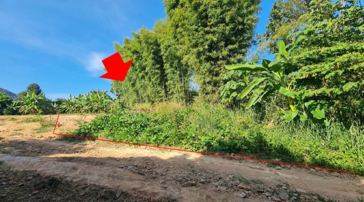 Residential land/lot Chiang Mai Samoeng Samoeng Tai 5400