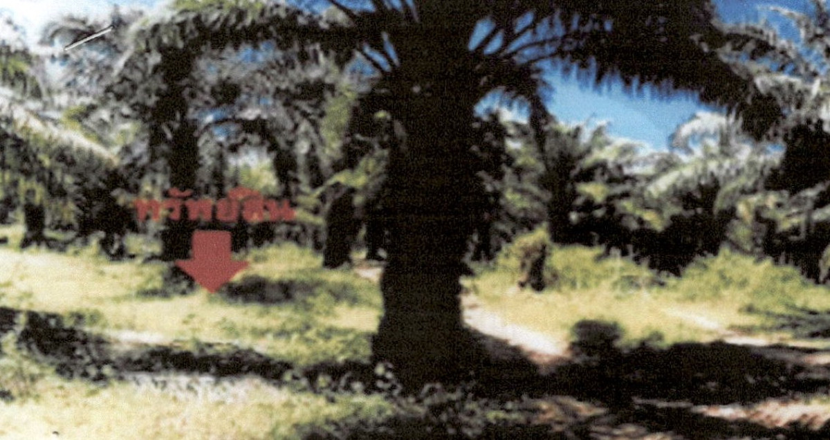 Residential land/lot Krabi Khlong Thom Khlong Phon 1504000