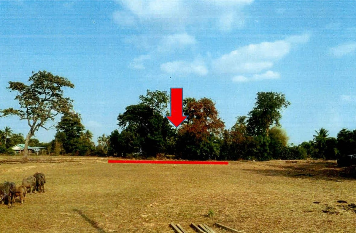 Residential land/lot Surin Mueang Surin Samrong 41600