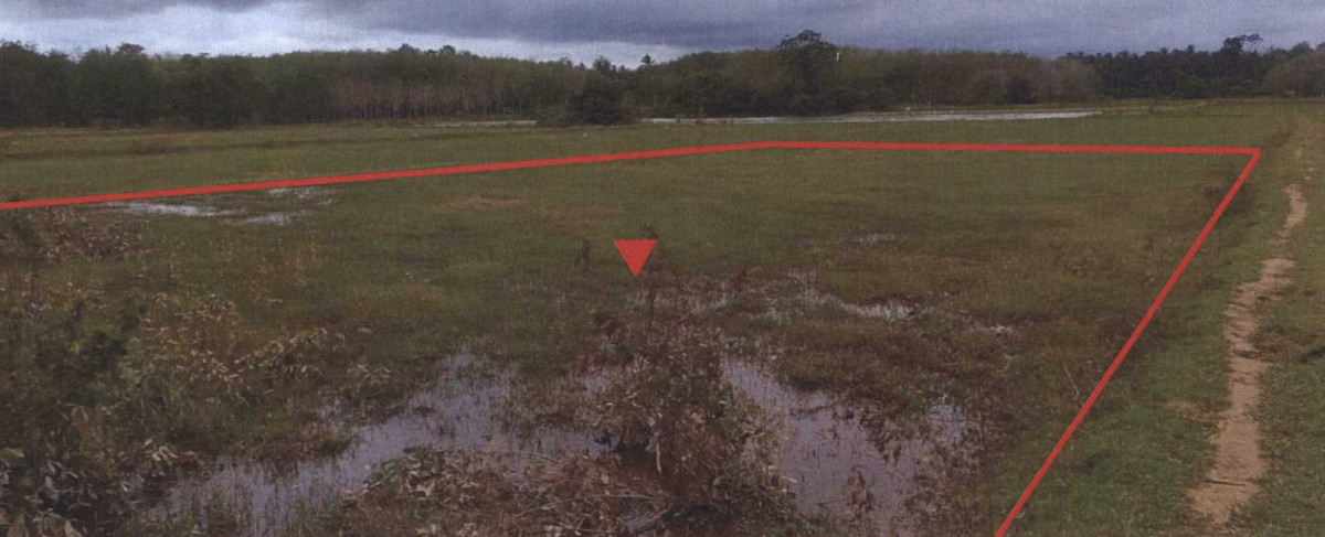 Residential land/lot Pattani Sai Buri Manang Dalam 243540