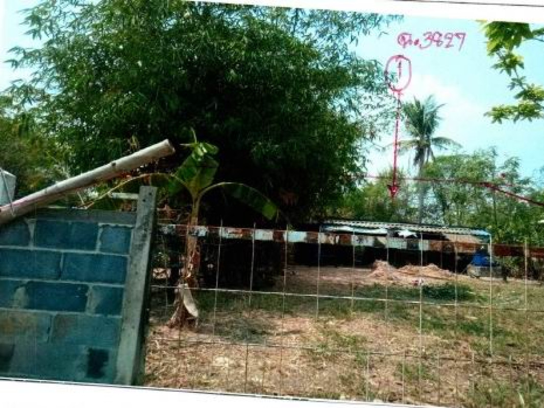 บ้านเดี่ยว บุรีรัมย์ บ้านใหม่ไชยพจน์ กู่สวนแตง 82000