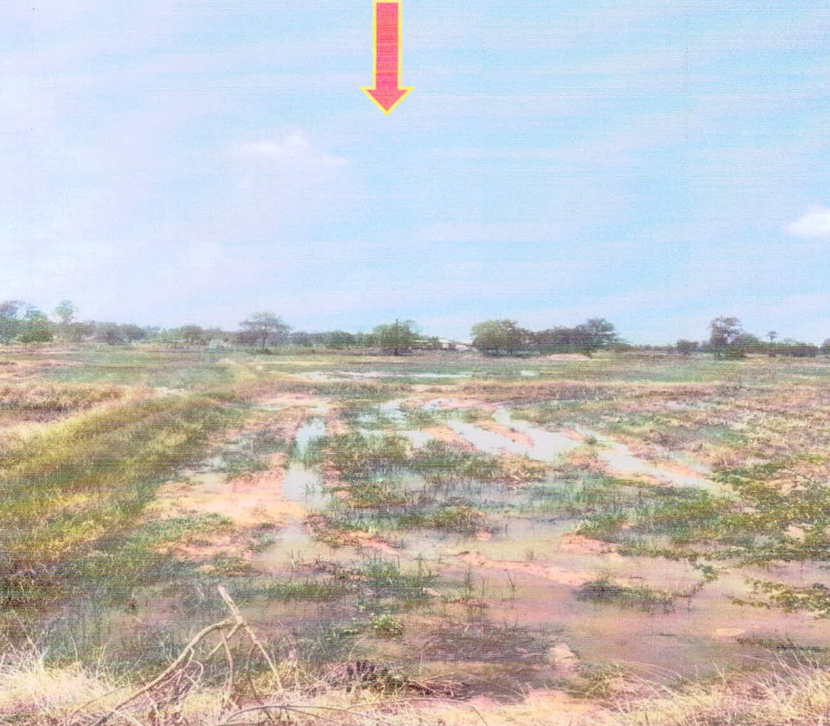 Residential land/lot Chaiyaphum Noen Sa-nga Nong Chim 270400