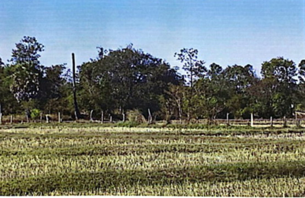 Residential land/lot Nakhon Phanom Renu Nakhon Khok Hin Hae 466700