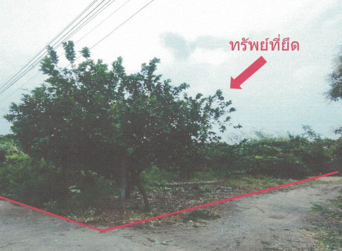 Residential land/lot Chiang Mai Chom Thong Sop Tia 115710