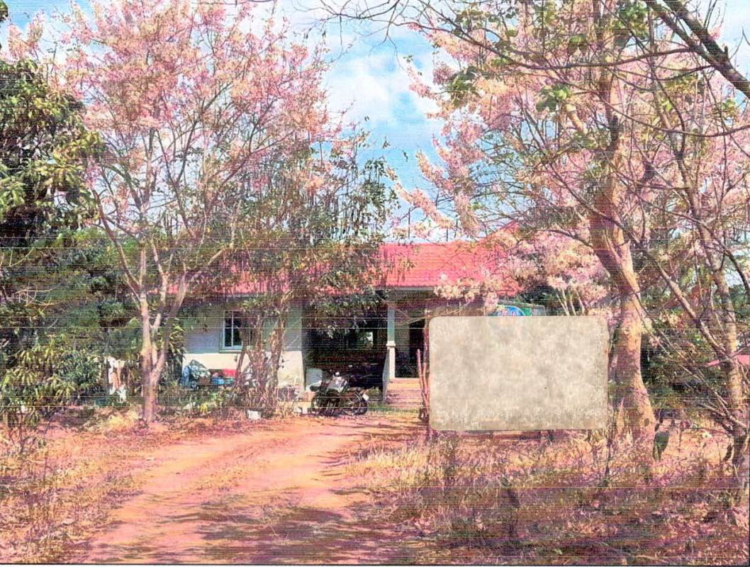 Single house Chaiyaphum Nong Bua Rawe Nong Bua Rawe 1784700
