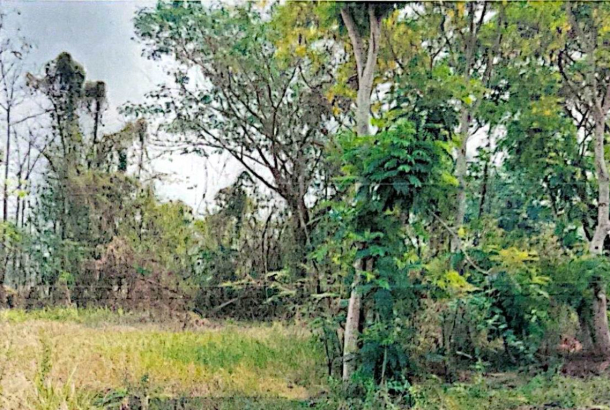 Residential land/lot Lamphun Mueang Lamphun Nong Nam 322900