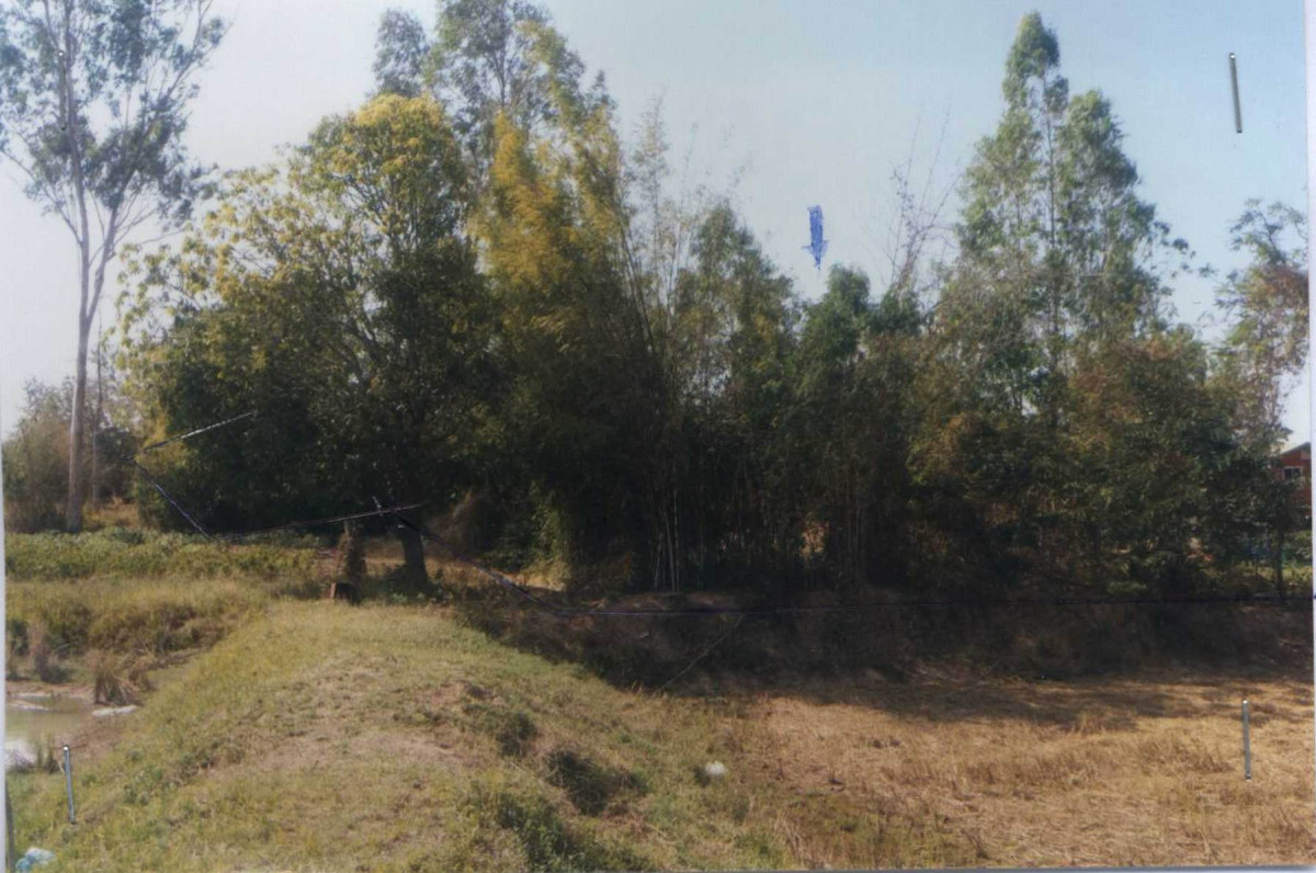 Residential land/lot Nakhon Ratchasima Bua Lai Bua Lai 71700