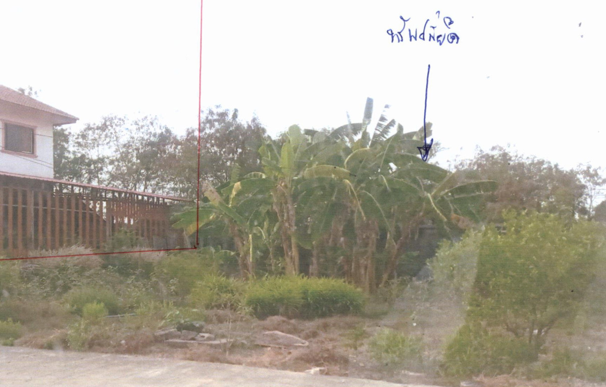Residential land/lot Phra Nakhon Si Ayutthaya Phachi Nong Nam Sai 600000