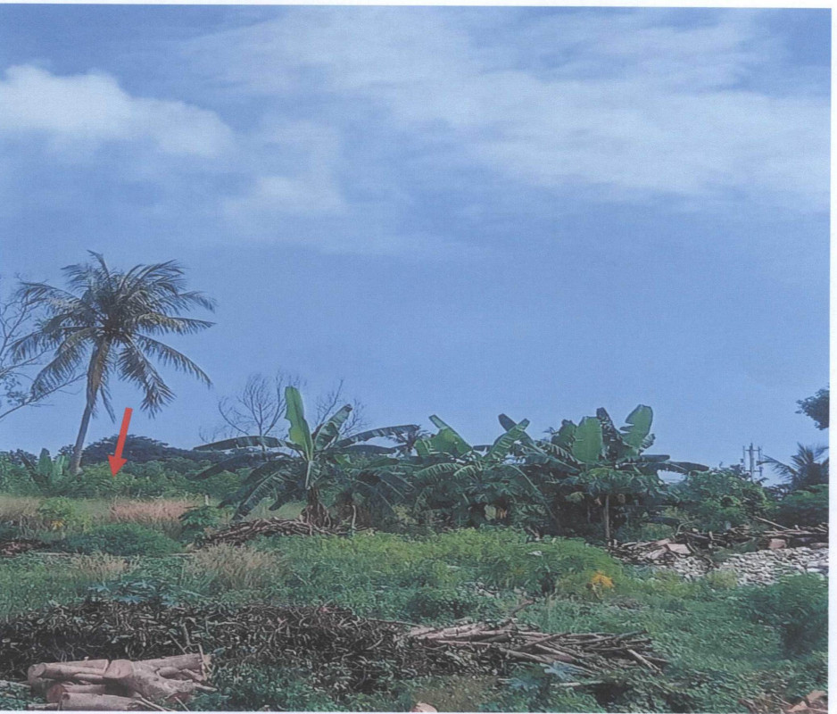 Residential land/lot Surat Thani Ko Samui Bo Phut 104800