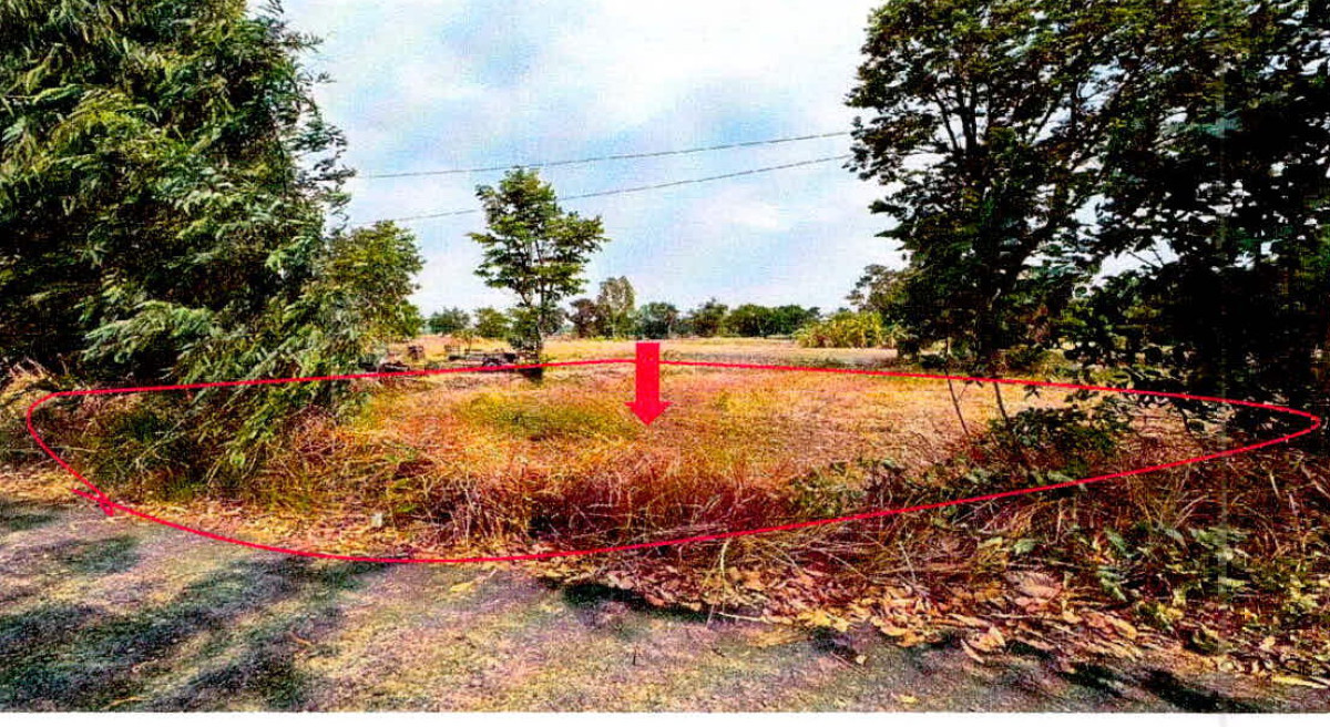 Residential land/lot Si Sa Ket Yang Chum Noi Yang Chum Noi 479556