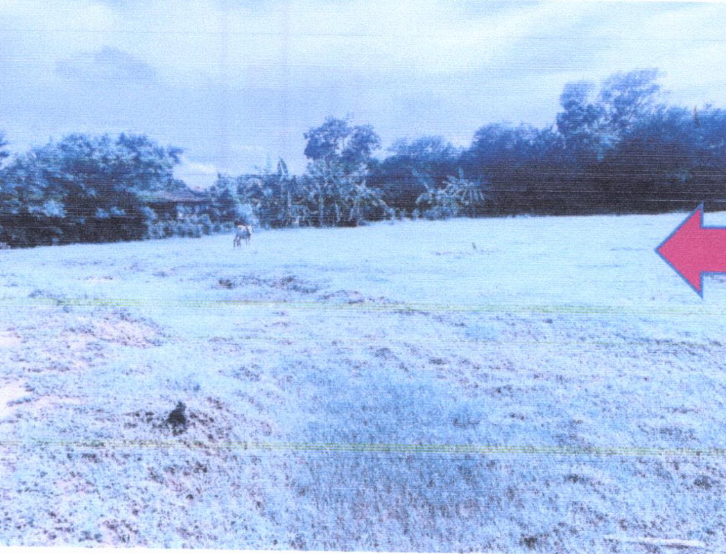 ที่ดินเปล่า ราชบุรี เมืองราชบุรี ท่าราบ 1324500