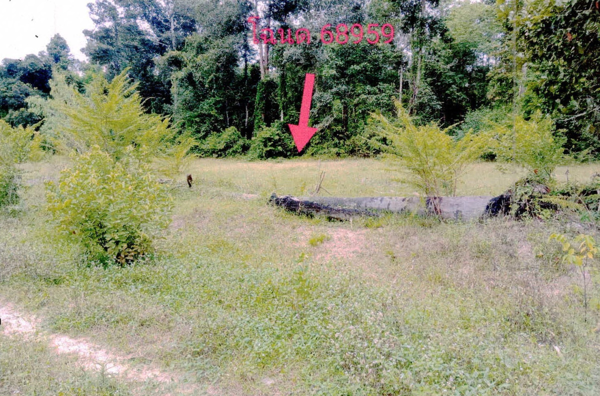 Residential land/lot Si Sa Ket Kanthararom Nong Bua 64584