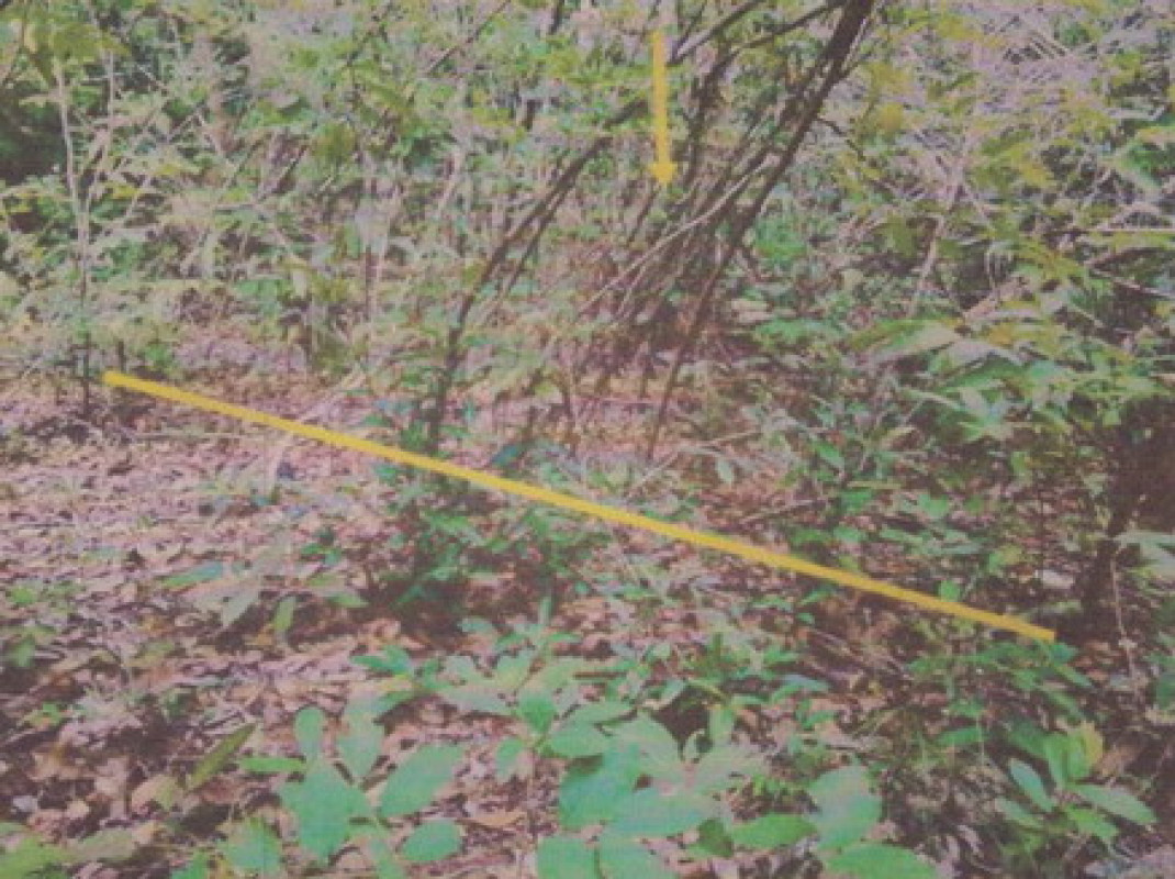 Residential land/lot Songkhla Hat Yai Thung Tam Sao 200000