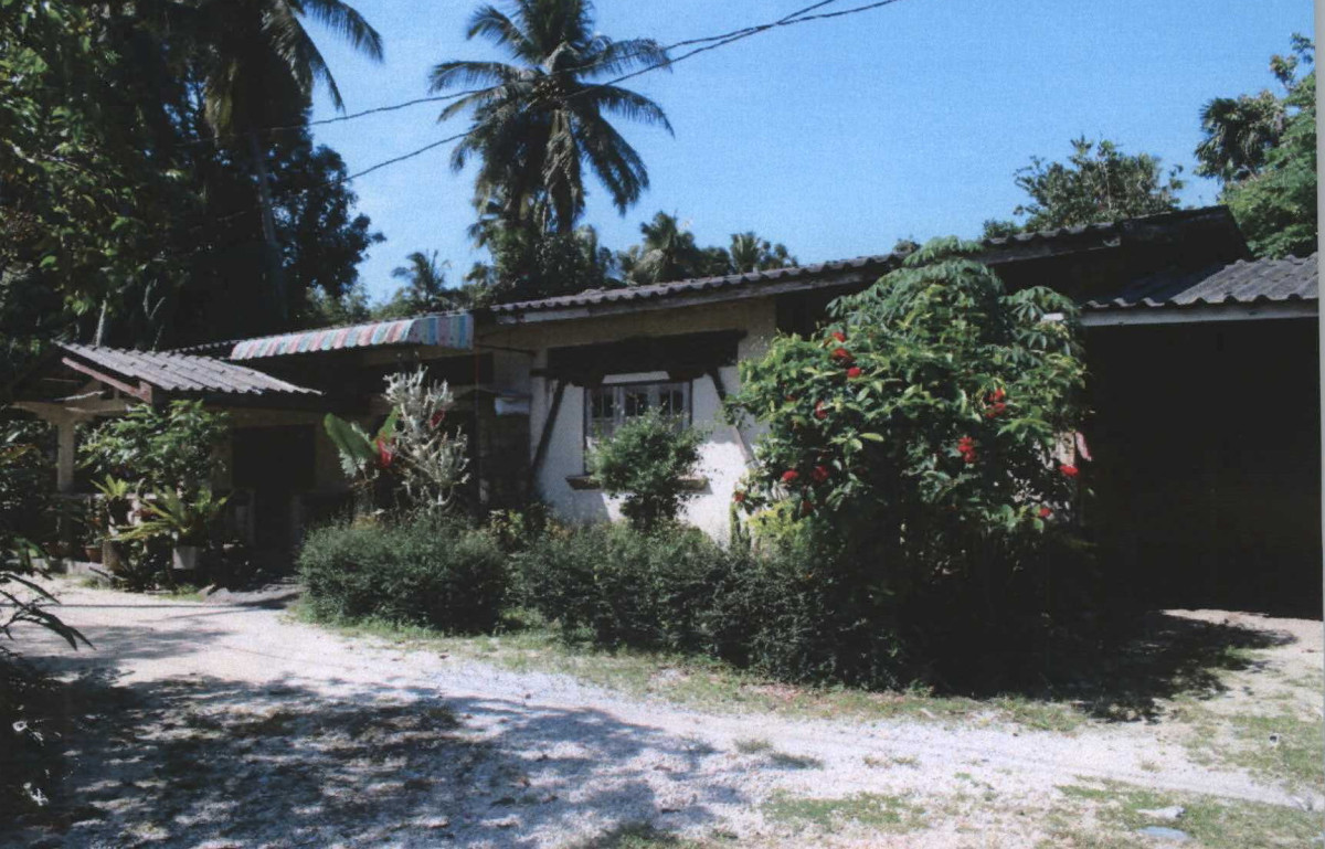 Single house Pattani Mai Kaen Sai Thong 855270
