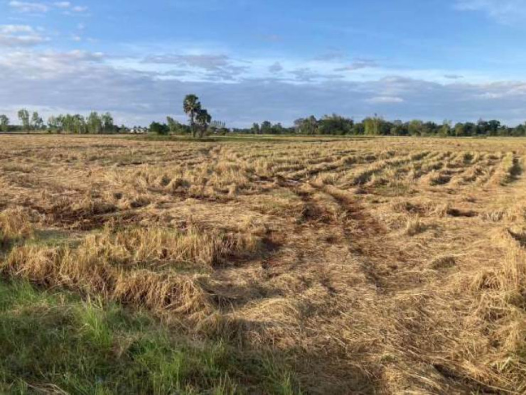 Residential land/lot Ubon Ratchathani Muang Sam Sip Yang Yo Phap 292573