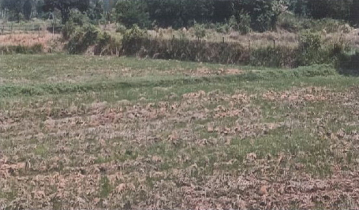 Residential land/lot Khon Kaen Waeng Noi Thang Khwang 695200