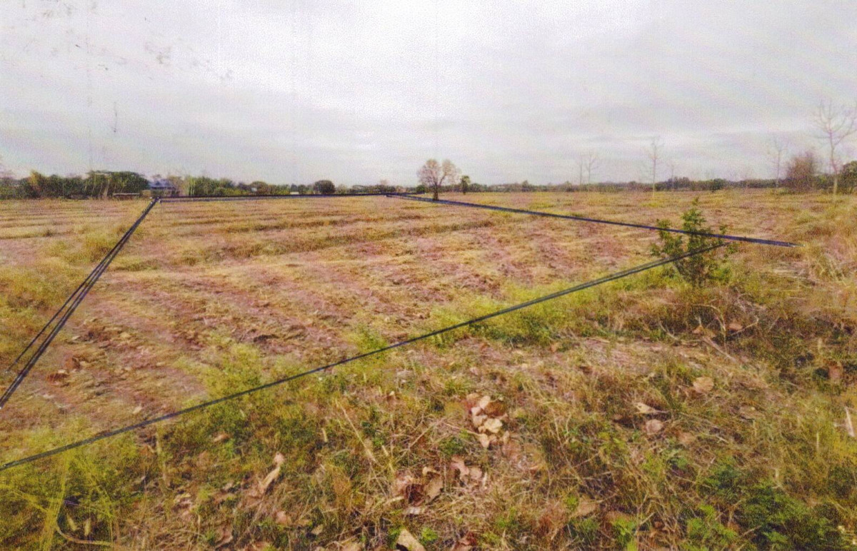 Residential land/lot Phayao Dok Khamtai Dong Suwan 1278600