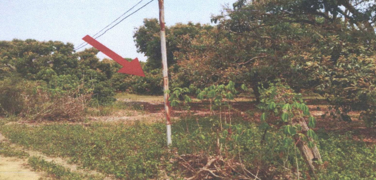 Residential land/lot Lamphun Mueang Lamphun Makhuea Chae 99600