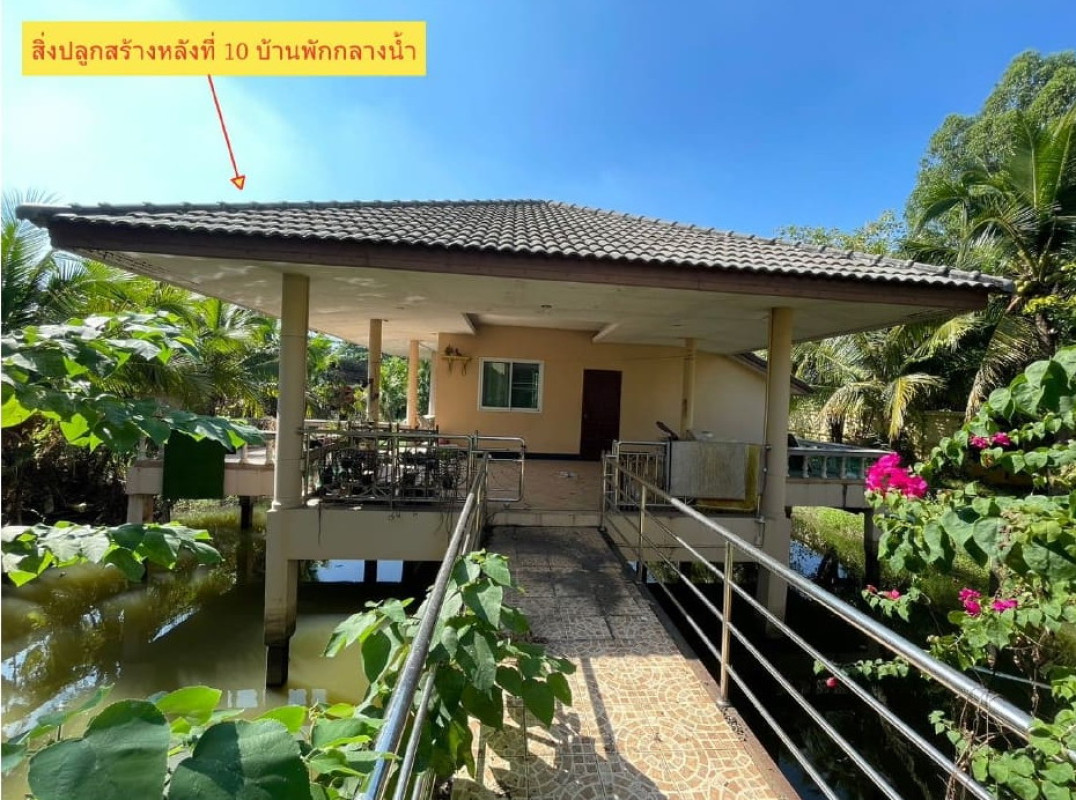 Single house Chiang Mai Mueang Chiang Mai San Phisuea 13502658