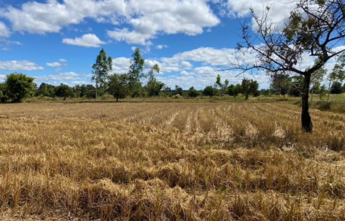 Residential land/lot Ubon Ratchathani Trakan Phuet Phon Non Kung 316030