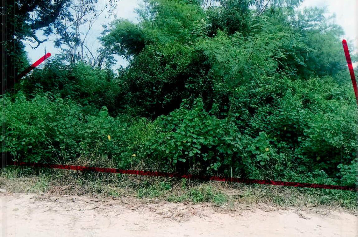 Residential land/lot Si Sa Ket Yang Chum Noi Lin Fa 35700