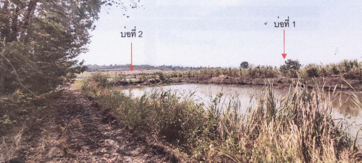 Residential land/lot Saraburi Kaeng Khoi Hin Son 3048960