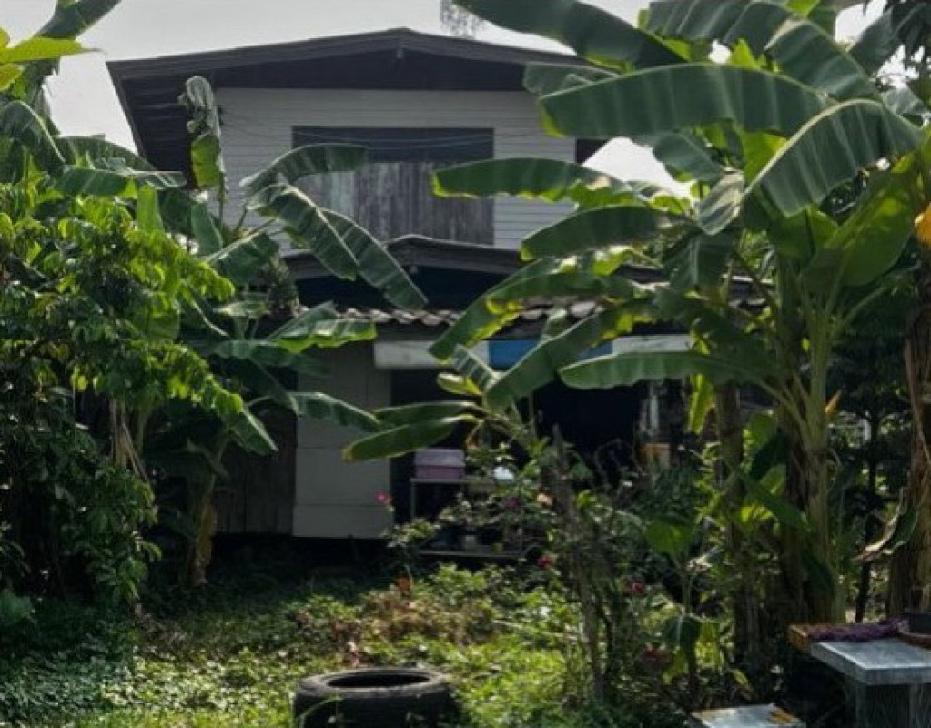 บ้านเดี่ยว กรุงเทพมหานคร หนองจอก ลำผักชี 1059600