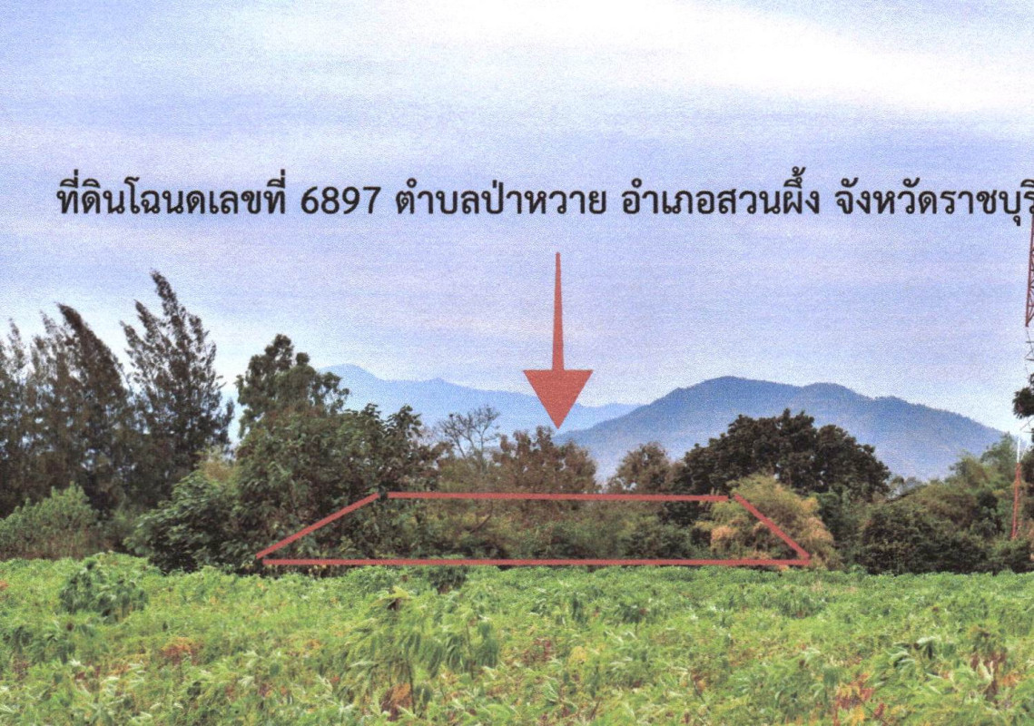 ที่ดินเปล่า ราชบุรี สวนผึ้ง ป่าหวาย 25500