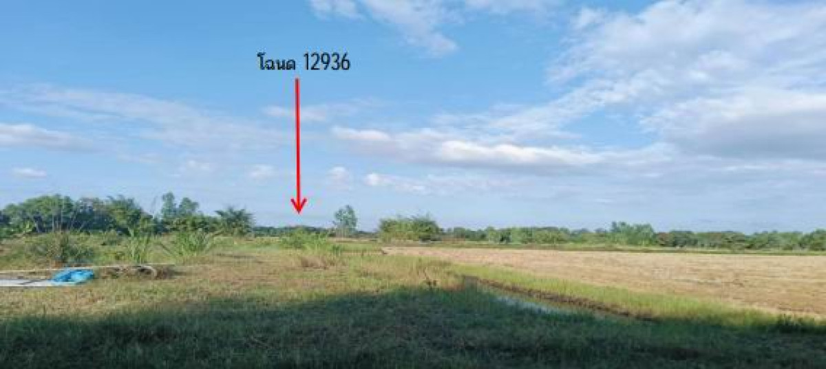 Residential land/lot Ubon Ratchathani Muang Sam Sip Yang Yo Phap 508300