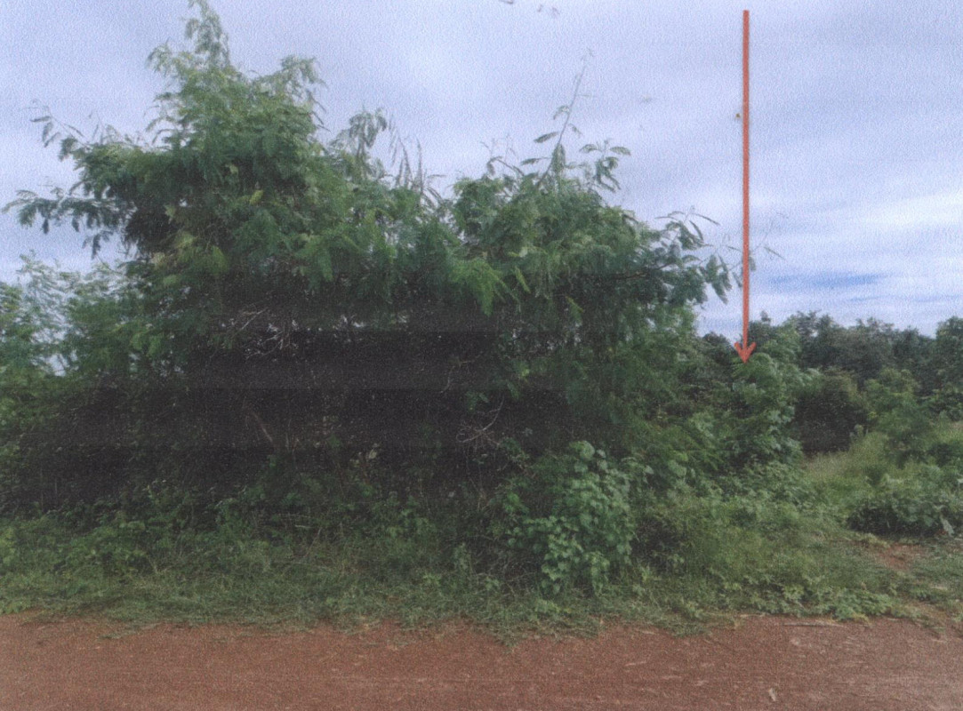 ที่ดินเปล่า หนองคาย เมืองหนองคาย โพธิ์ชัย 957125