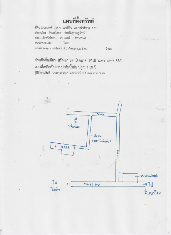 Single house Surat Thani Chaiya Wiang 548862