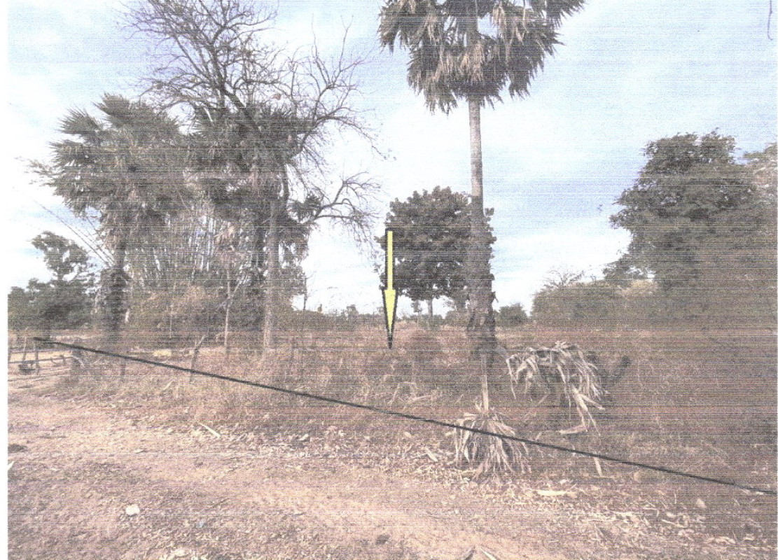 Residential land/lot Chaiyaphum Khon Sawan Khok Mang Ngoi 829770