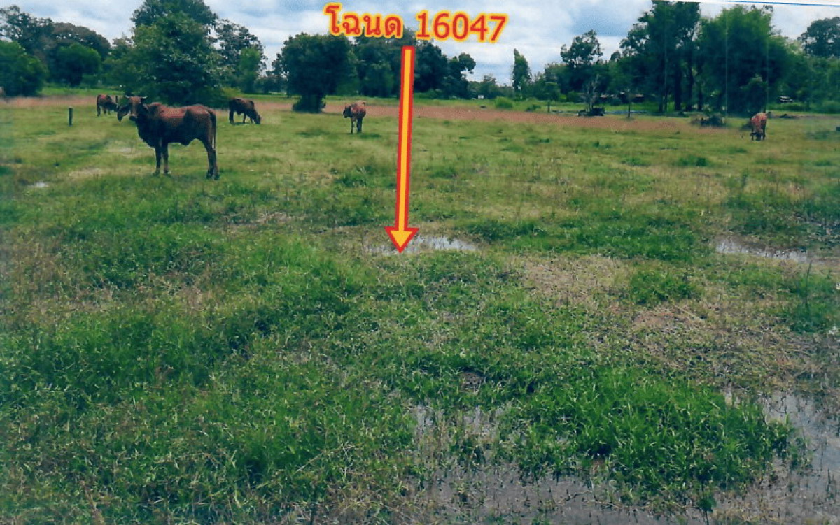 Residential land/lot Ubon Ratchathani Lao Suea Kok Phon Mueang 56212
