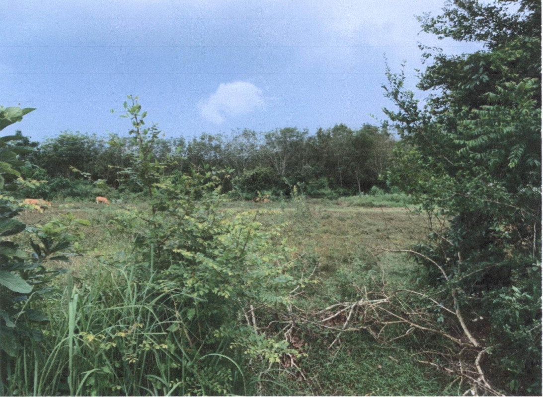 Residential land/lot Songkhla Rattaphum Kamphaeng Phet 30500