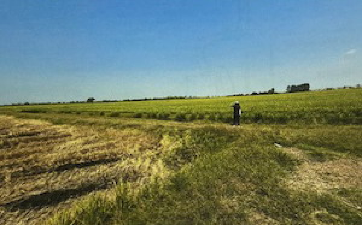 Residential land/lot Nakhon Pathom Bang Len Nin Phet 1716000