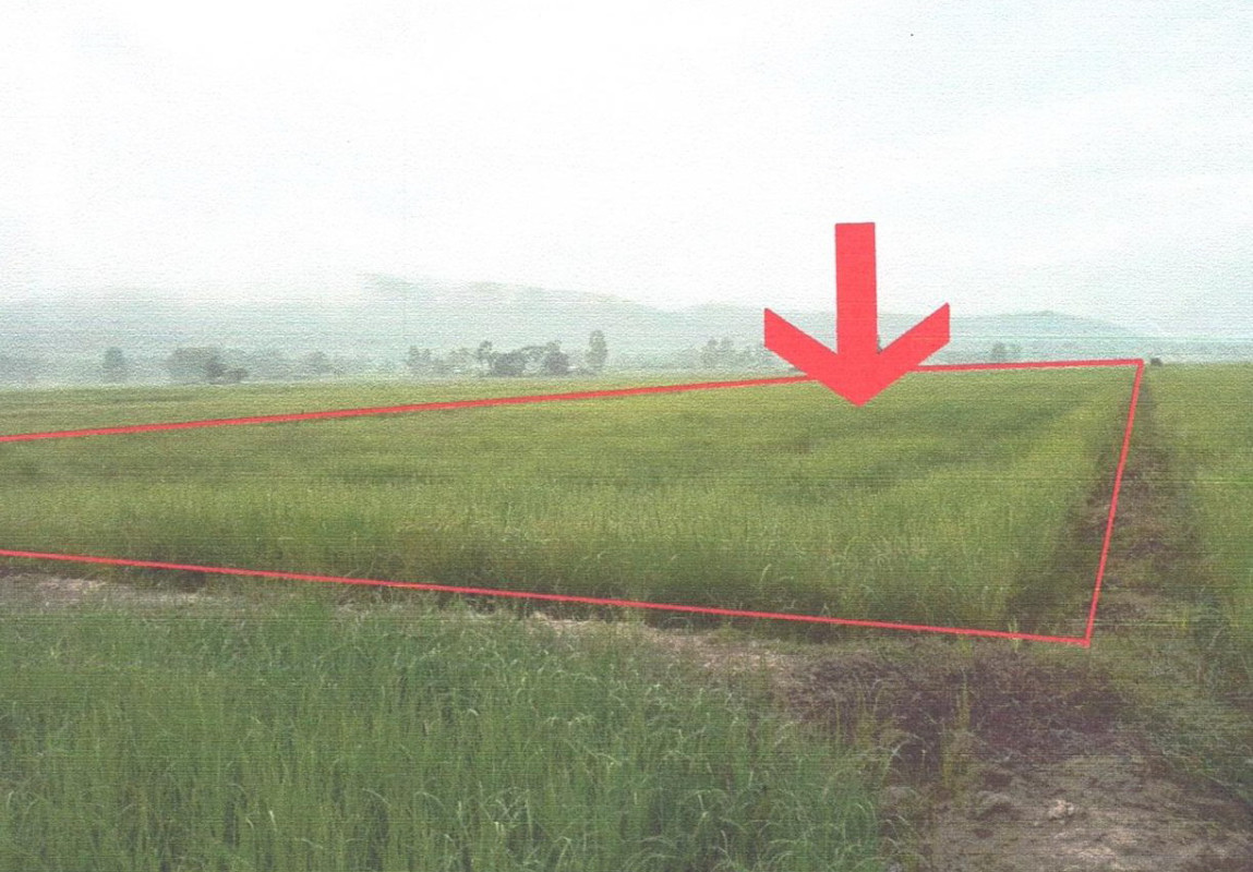 Residential land/lot Phayao Chiang Kham Nam Waen 227340