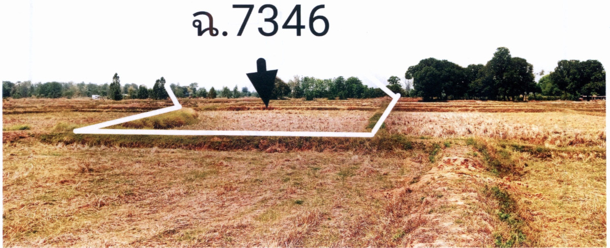 ที่ดินเปล่า ขอนแก่น บ้านไผ่ ป่าปอ 300000