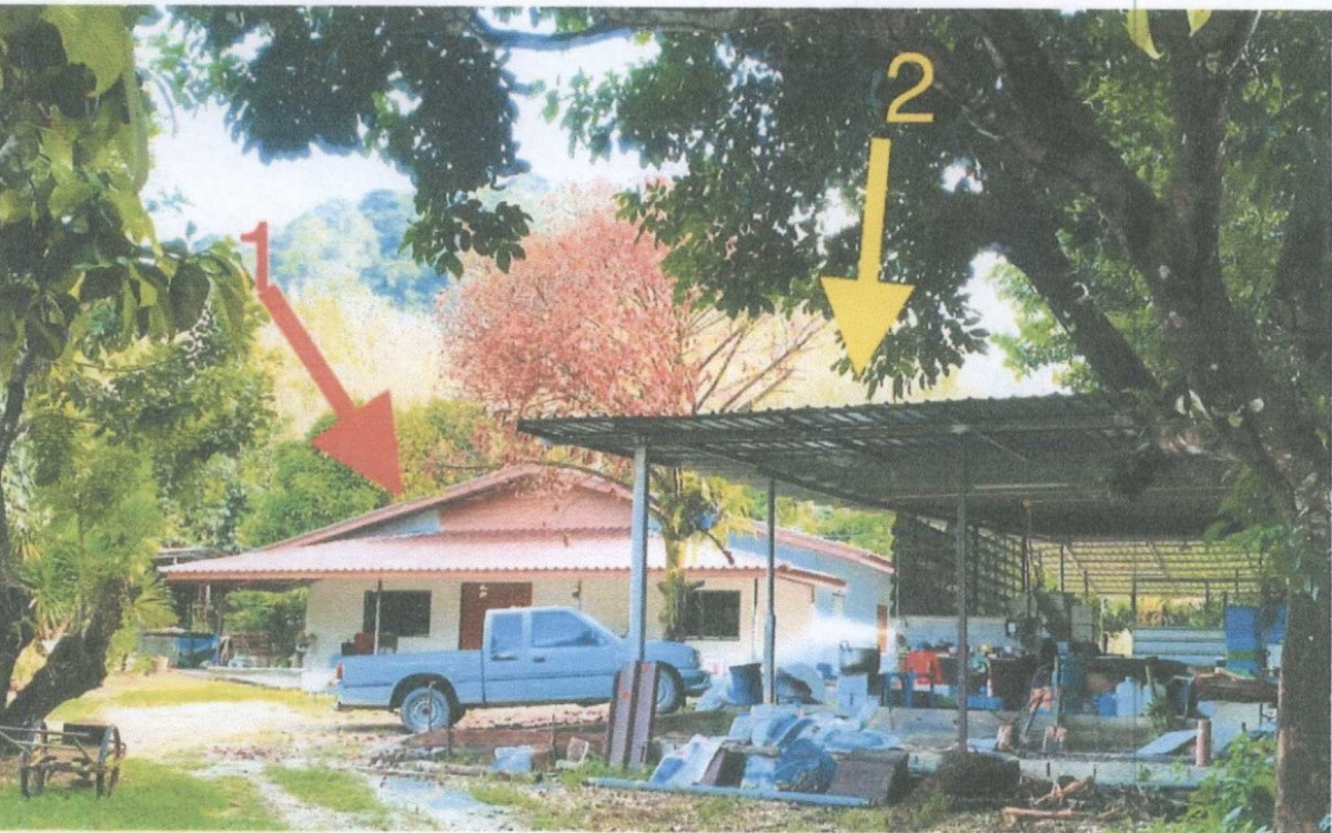 บ้านเดี่ยว พังงา ตะกั่วป่า บางไทร 1629200