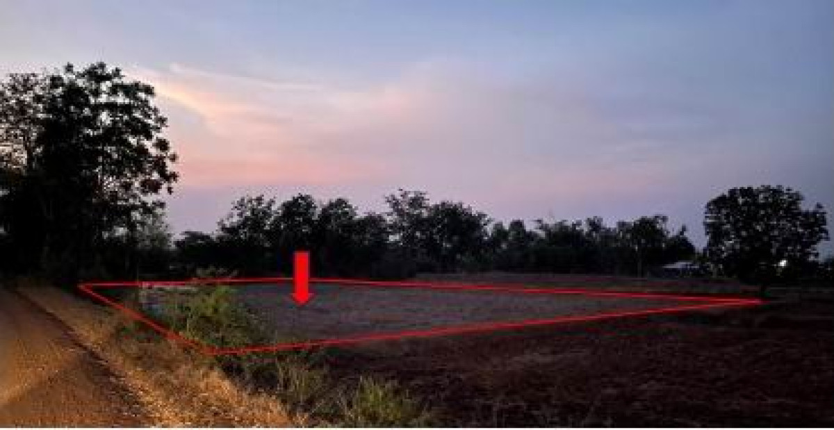 ที่ดินเปล่า นครราชสีมา บัวใหญ่ ขุนทอง 120000