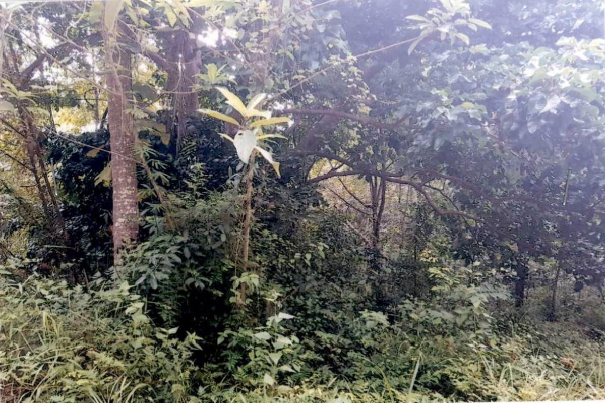 Residential land/lot Surat Thani Ko Pha-ngan Ko Pha-Ngan 750000