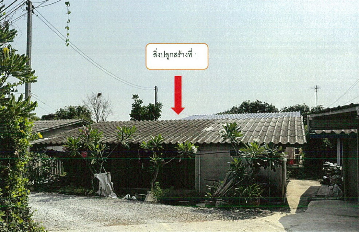 Townhouse Nakhon Pathom Mueang Nakhon Pathom Nong Ngu Lueam 561360