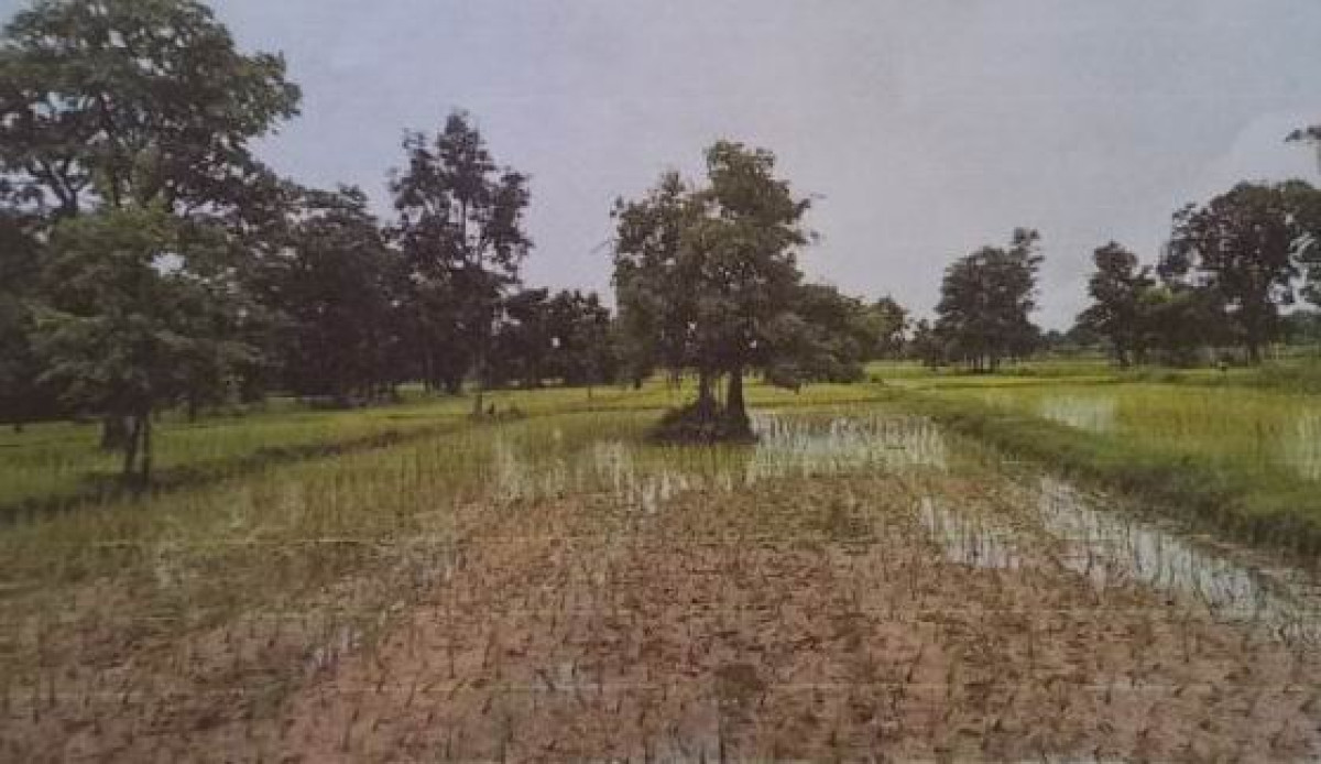 Residential land/lot Udon Thani Mueang Udon Thani Na Kha 1936500