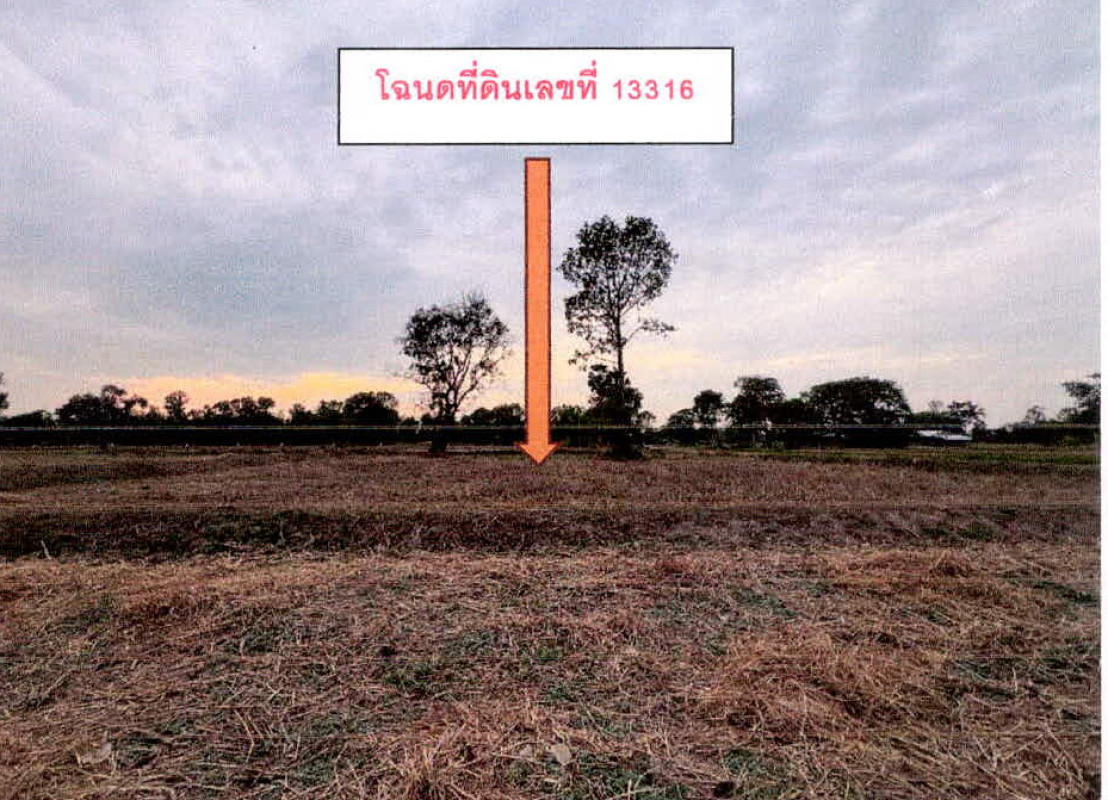 ที่ดินเปล่า ศรีสะเกษ พยุห์ โนนเพ็ก 109590