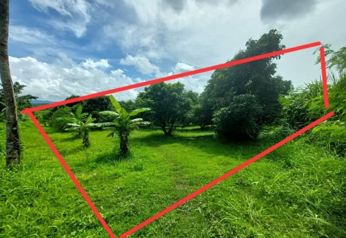Residential land/lot Lamphun Mueang Lamphun Ban Klang 414800