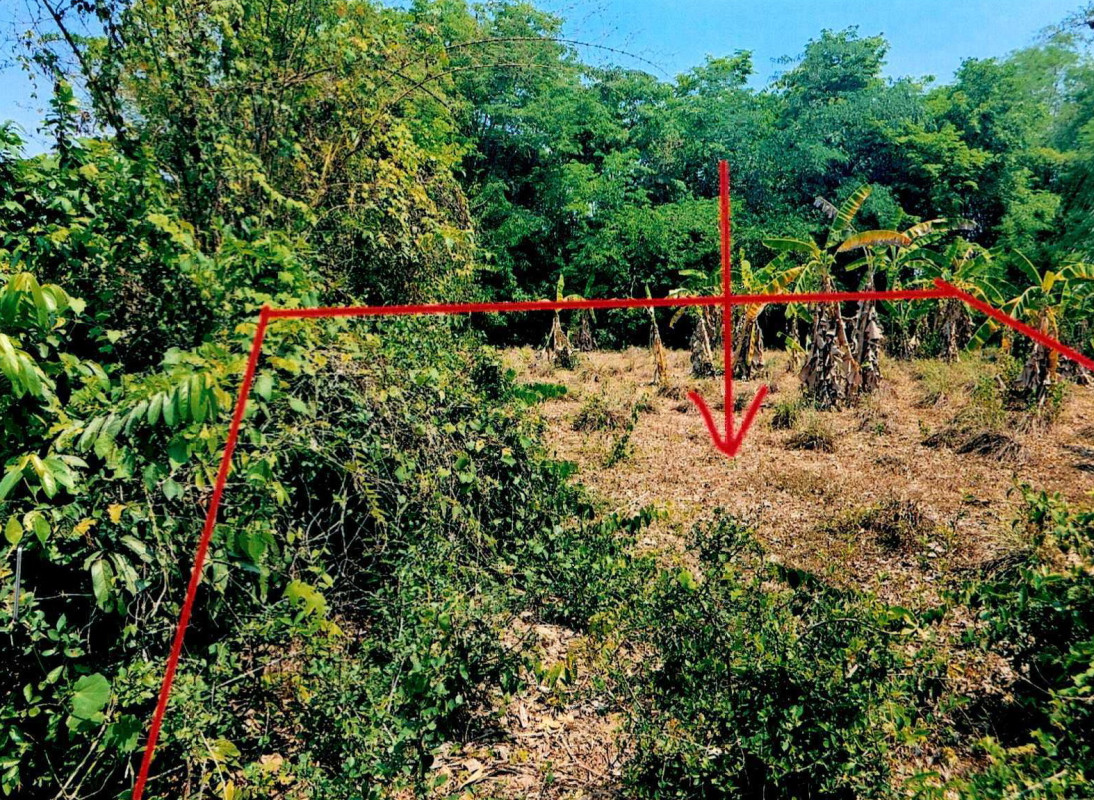 Residential land/lot Nong Khai Sri Chiang Mai Phan Phrao 80000