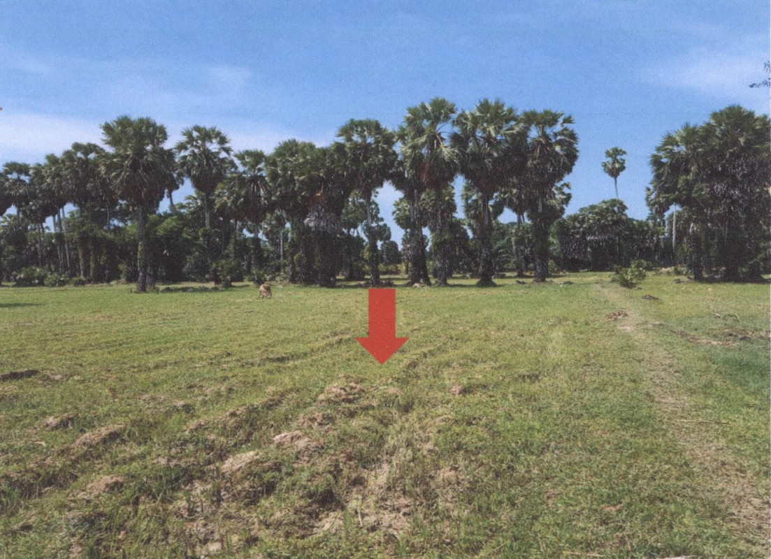 Residential land/lot Songkhla Sathing Phra Tha Hin 391800