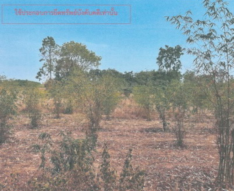Residential land/lot Kalasin Sahatsakhan Non Nam Kliang 1002000