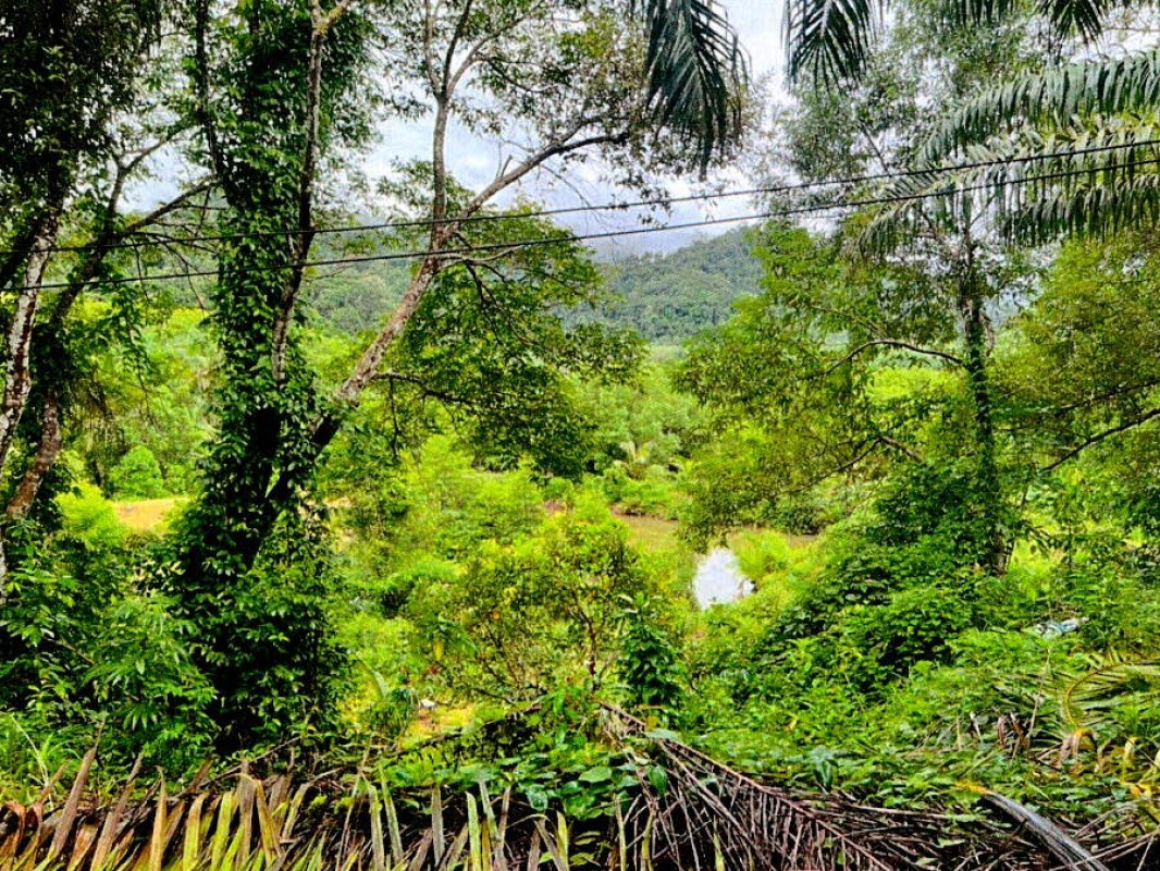 Single house Ranong Kapoe Bang Hin 1154679
